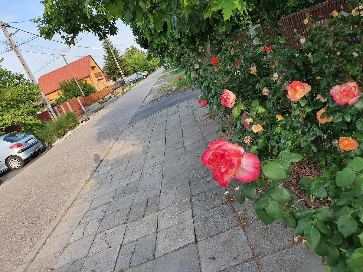 Gæstehus Airport Luxury Apartman 42 Vecsés